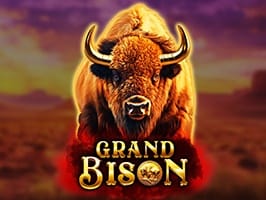 Grand Bison game thumbnail