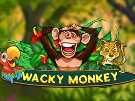 Wacky Monkey game thumbnail